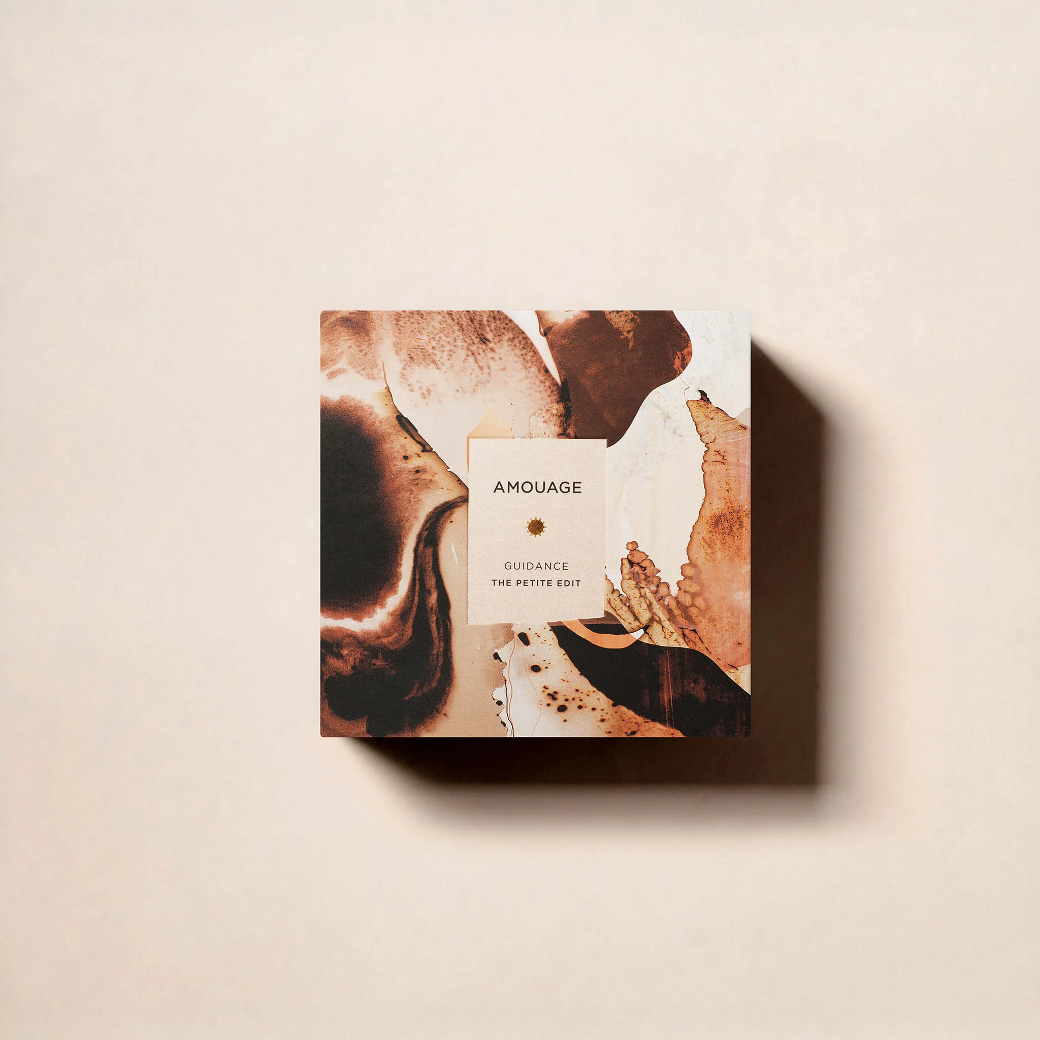 New | Guidance - The Petite Edit