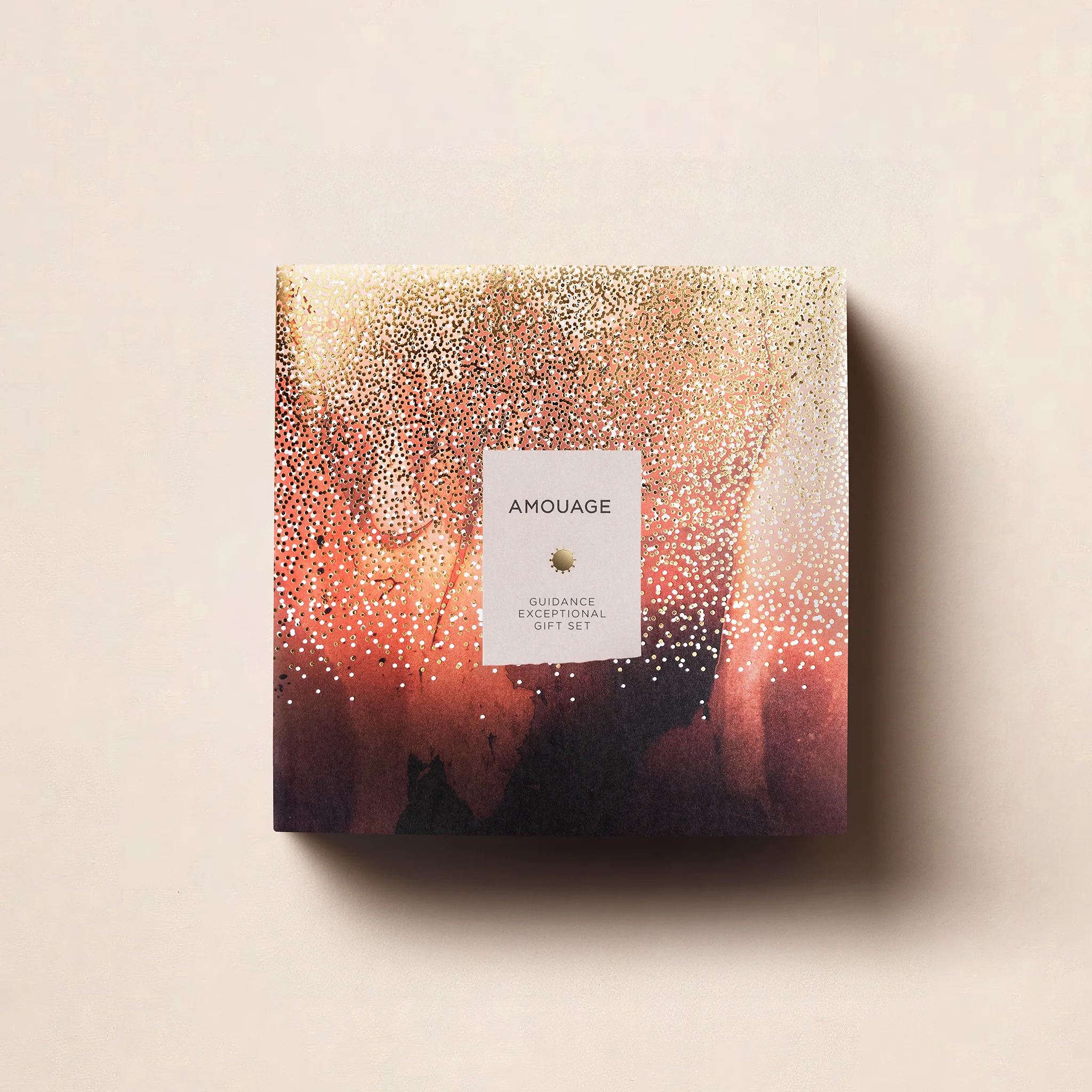 Guidance Exceptional Gift Set
